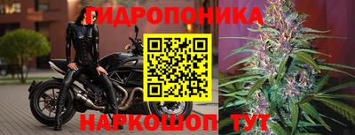 сатива Старая Купавна