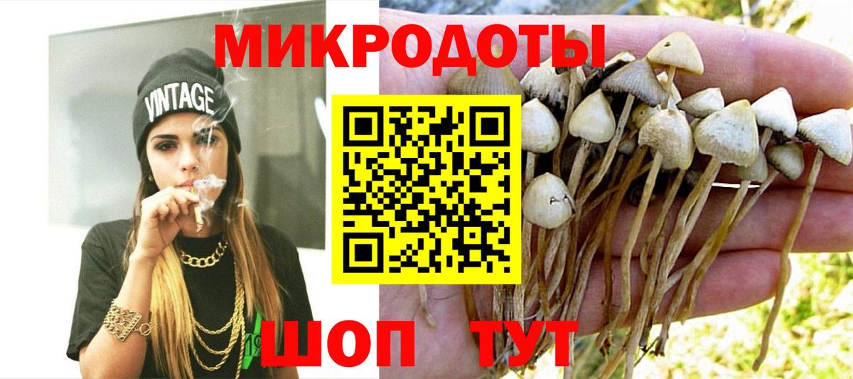 Галлюциногенные грибы GOLDEN TEACHER  Вход с VPN  Норильск 